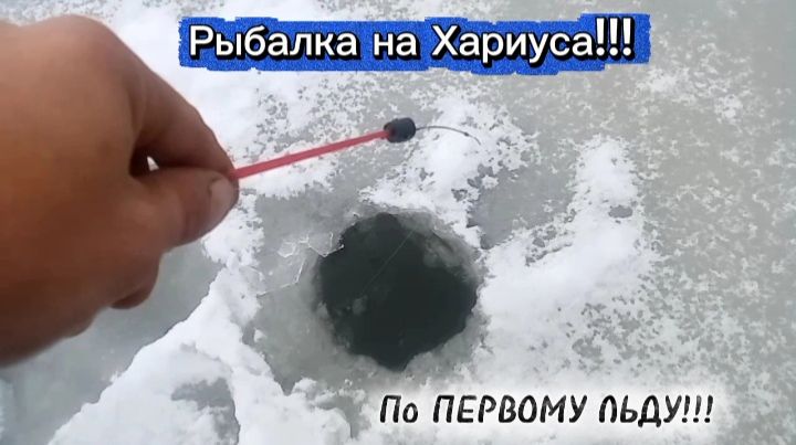 "Захватывающая" Рыбалка на Хариуса 2025!!! смотреть онлайн