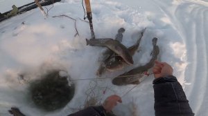 Рыбалка на налима. Проверка перемётов в мороз. 41