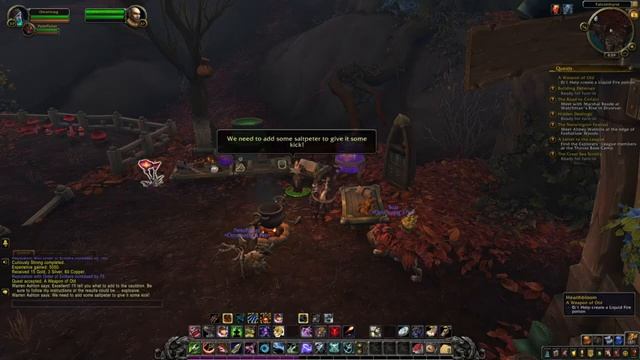 World Of Warcraft