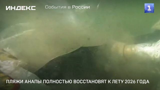 Пляжи Анапы полностью восстановят к лету 2026 года смотреть онлайн
