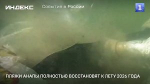 Пляжи Анапы полностью восстановят к лету 2026 года