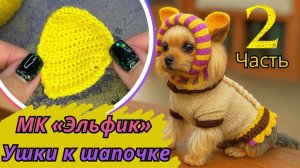 Ушки к шапочке-трубе для собак | Мастер-класс крючком (Часть 2) | Яна Skawool