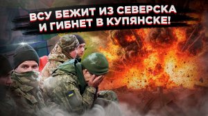 Россия зачищает Донбасс, пока Киев устраивает цирк у стелы в Купянске!