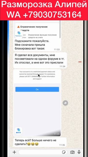 Снять ограничения получения Алипей (кежуал) смотреть онлайн