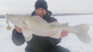 Перешли реку. Судак, щука на крупный силикон со льда. Оснастка ТАКЕЛАЖ.