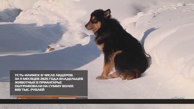 За несоблюдение требований 12-12-2025 смотреть онлайн