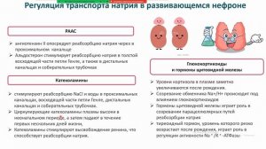 Физиология ребенка. Л11. Выделительная система. Бабкина И.И.
