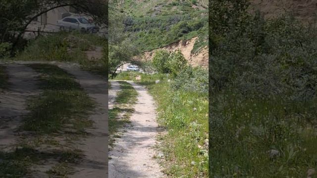 Эльбрус серебряный источник рядом с пос Нейтрино лето 2025 смотреть онлайн