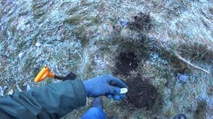 Немного копа в декабрьский денёк