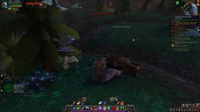 World Of Warcraft