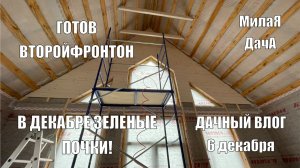 Зима к нам не торопится | Стройка | Дачный влог 6 декабря