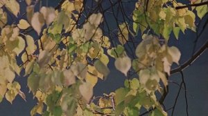 Место встречи изменить нельзя (3 сер.)