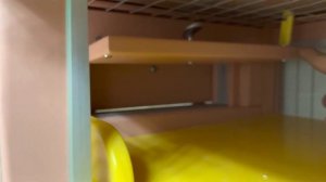 Эксклюзивный проект для крыс | встроенная витрина для крыс из камня | Мир Шиншилл