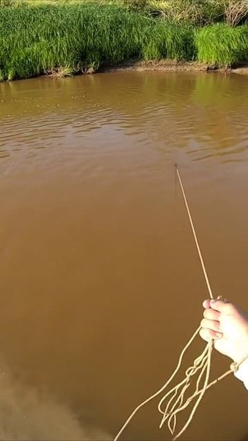 невод.mp4 смотреть онлайн