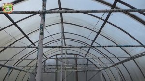 Как построить надежный фундамент для теплицы своими руками