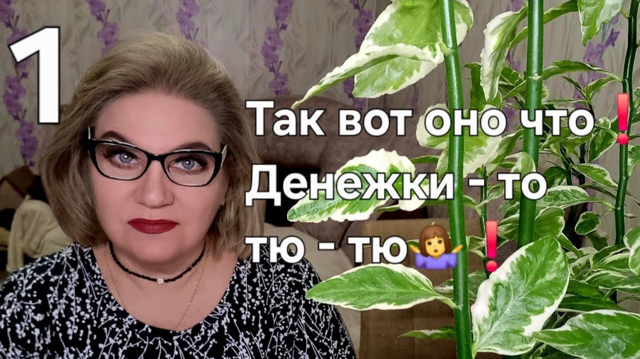 Так вот оно что❗️Денежки - то тю - тю❗️ смотреть онлайн