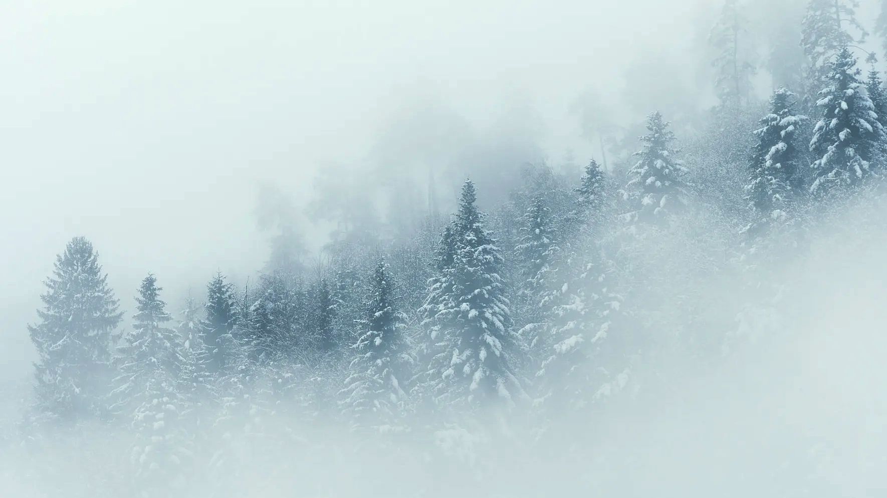 𝐋𝐔𝐍𝐀𝐑𝐈𝐀 𝐑𝐚𝐝𝐢𝐨 𝐌𝐢𝐱 /vol.17 2025/ смотреть онлайн