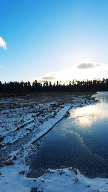 «Звенигородская биостанция МГУ и карьер Сима»    #discovery #travel #russia #тундра #like #мгу
