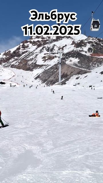 Обучение катанию на горных лыжах 11.02.2025 смотреть онлайн