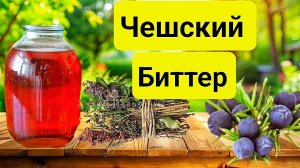 Настойка Чешский Биттер! Вкуснее Настойки вы точно не пробовали. Подробный Рецепт.