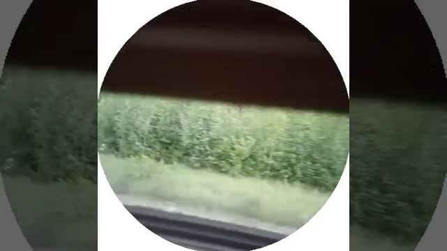 Всё ещё в поезде, еду в другую сторону Кишинёва смотреть онлайн