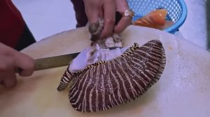 Морская улитка-монстр и красная корнетовая рыба — свежие вьетнамские морепродукты