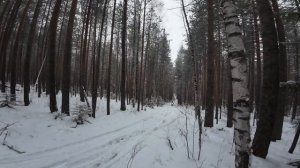 снежный замес на regulmoto cr-x 300 pro