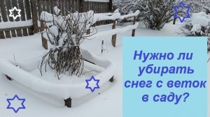 Нужно ли стряхивать снег с кустов и деревьев в саду?
