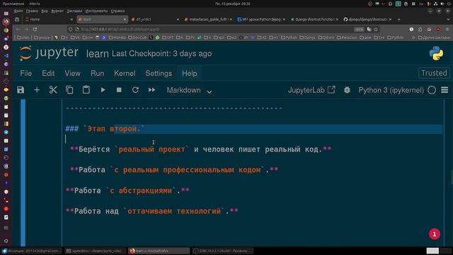 Как проходит индивидуальное обучение на Python по системе обучения В. Бовсуновского.