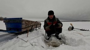 Проверка удочек. 16 день