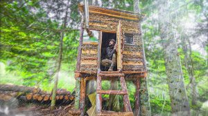 ДОМ В ЛЕСУ после ЦИКЛОНА | РЕМОНТ ДОМА НА ДЕРЕВЕ в ГЛУХОМ ЛЕСУ - НОВАЯ КРЫША СВОИМИ РУКАМИ