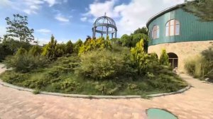 Олег Зубков приехал посмотреть как мы обустроили вольер для Люсиной компании! Гамадрилята довольны!