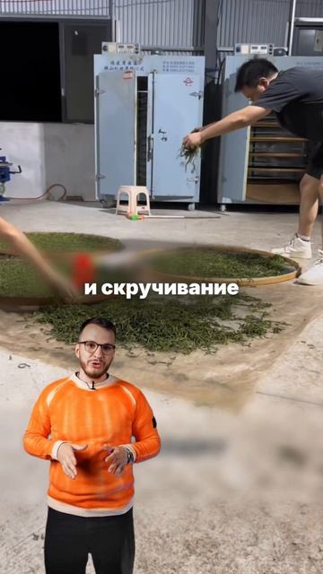 Ты пьешь чай смотреть онлайн