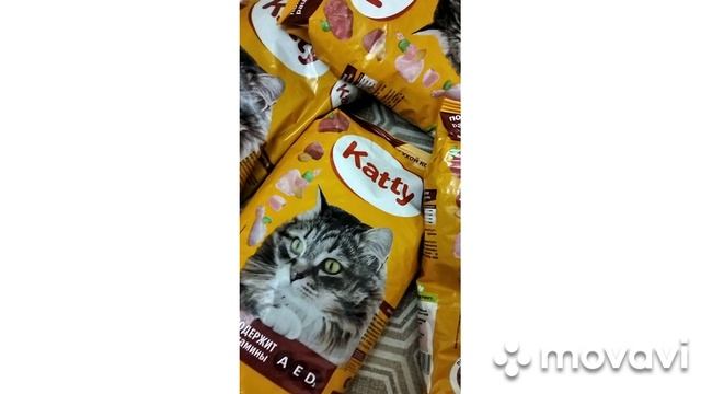 Спасибо Руслану и анониму / купил кошке гору сухого корма Katty в Пятерочке