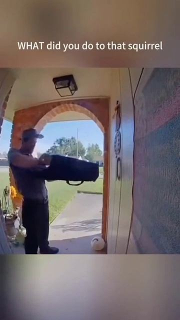 Опасные белки. смотреть онлайн