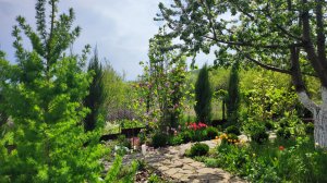 Прогулка по цветущему саду с весны до осени 2025