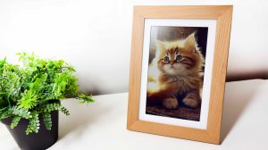 НЕ ПРОСТО ЭЛЕКТРОННАЯ ФОТОРАМКА - Bigme F7