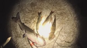 Подводная охота на окуня зимой на АЭС.