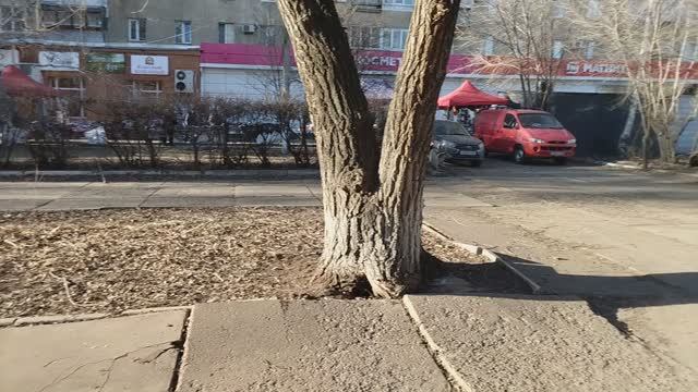 Оренбург Пролетарская 271. Видео обзор 2