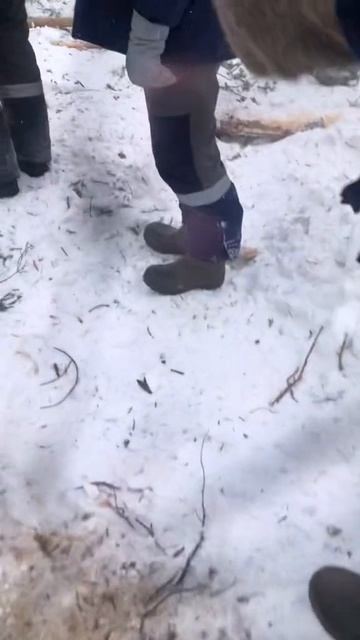 вездеход из болота.mp4 смотреть онлайн