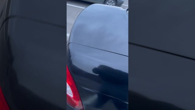 IMG_0831 смотреть онлайн