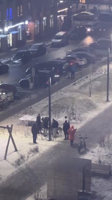 🐕В ЖК «Ильинские луга» бойцовская собака напала на проходящую мимо другую собаку🐕 смотреть онлайн