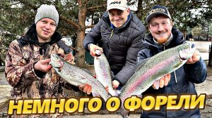 Фантастическая ЧЕТВЕРКА и КОТЫ! НЕМНОГО о ФОРЕЛИ