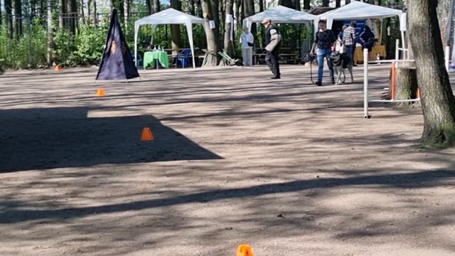 БАРВИТТЕРА ТРОДОС ПРК 19.05.24 г ЦВЕО смотреть онлайн