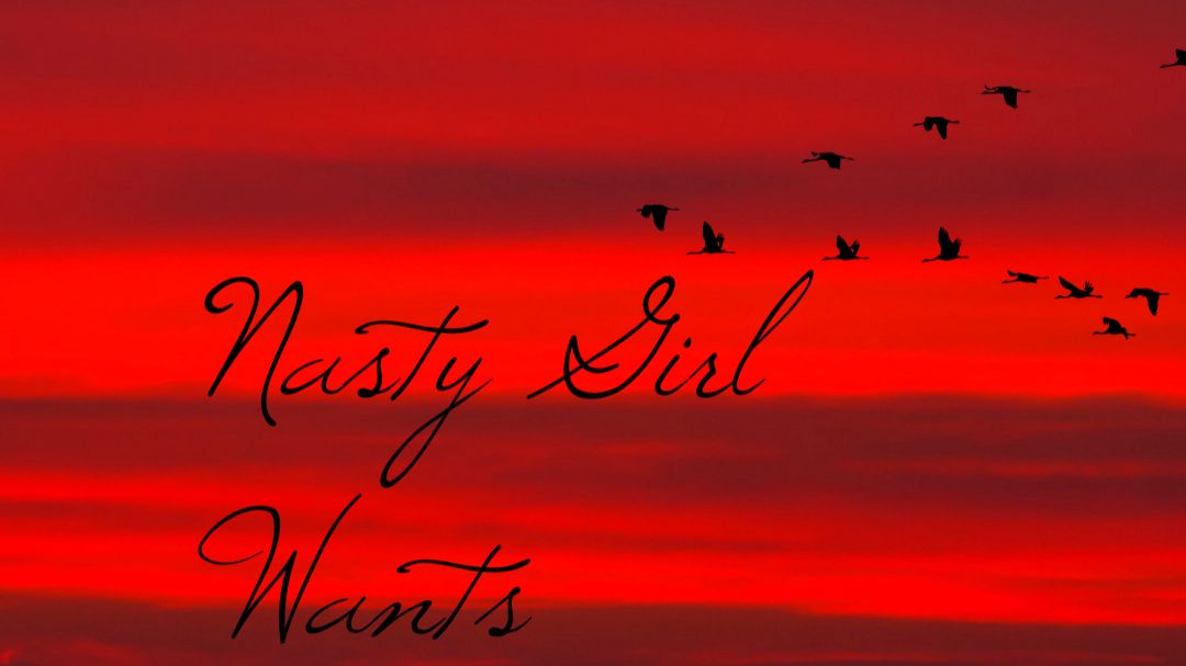 Nasty Girl Wants