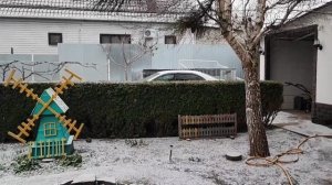 ПОДТВЕРДИЛИСЬ ЛИ НАШИ ОПАСЕНИЯ/ ДОКТОР СДЕЛАЛ ЗАКЛЮЧЕНИЕ/ МЫ ОЧЕНЬ РАДЫ