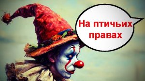 На птичьих правах _ Мошенники звонят по телефону