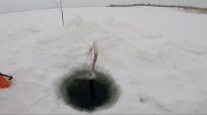 Рыбалка у чёрной дыры, ловля налима. Двадцать третья серия.