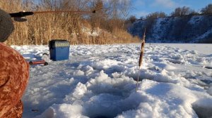 Охотник на РОТАНА