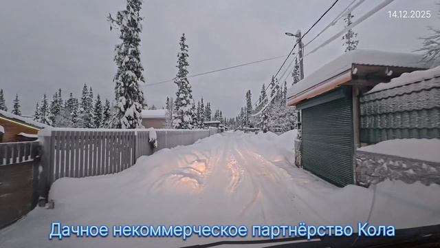 ДНП Кола (Мурманск)14.12.25 смотреть онлайн